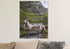 #2 Flock of Sheep & Psalm 23 The Lord is my Shepherd Canvas Print